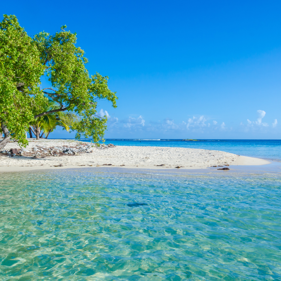 cayos de belice (4)